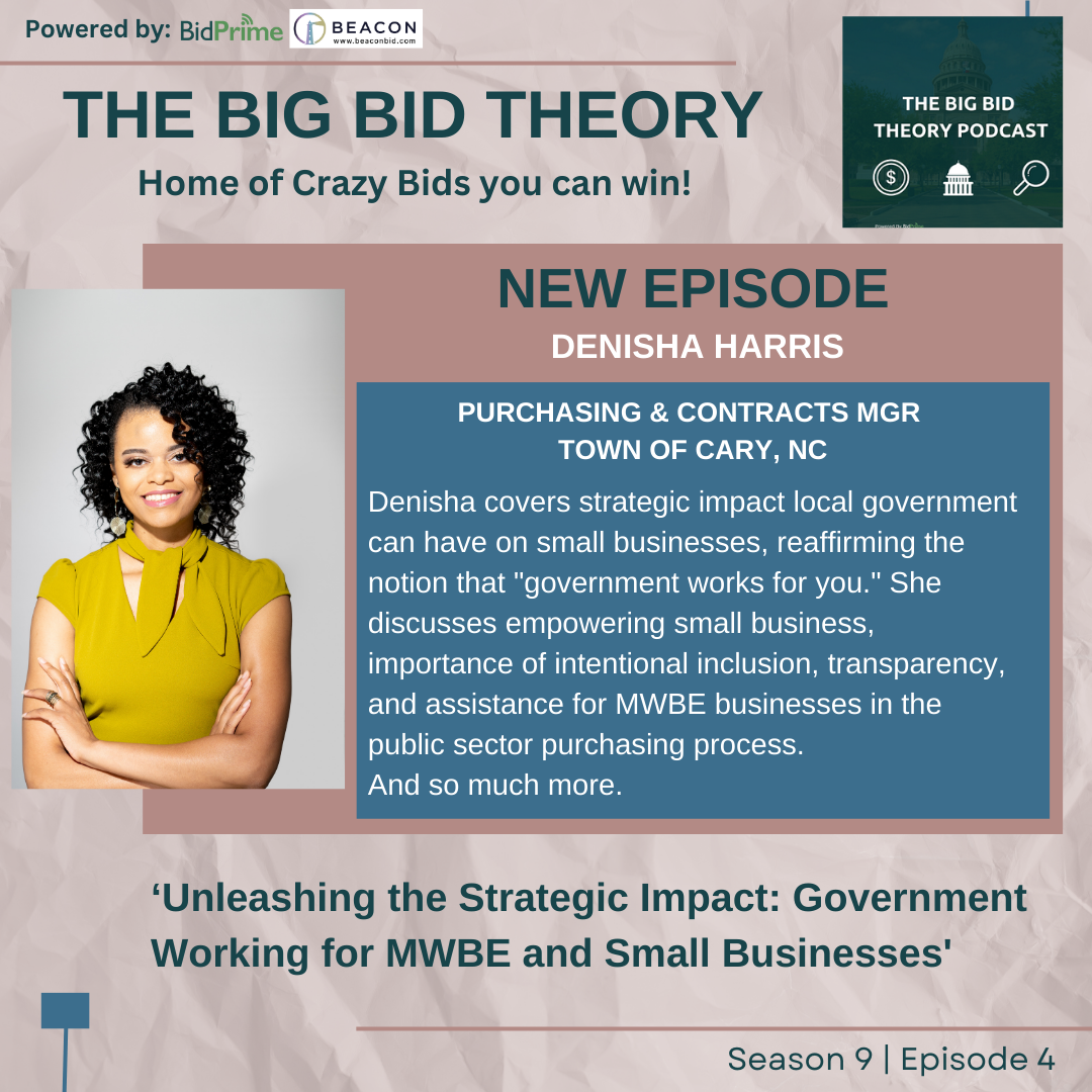 Unleashing the Strategic Impact: Government Working for MWBE and Small Businesses