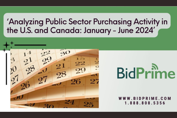 Analyzing Public Sector Purchasing Activity in the U.S. and Canada: January - June 2024