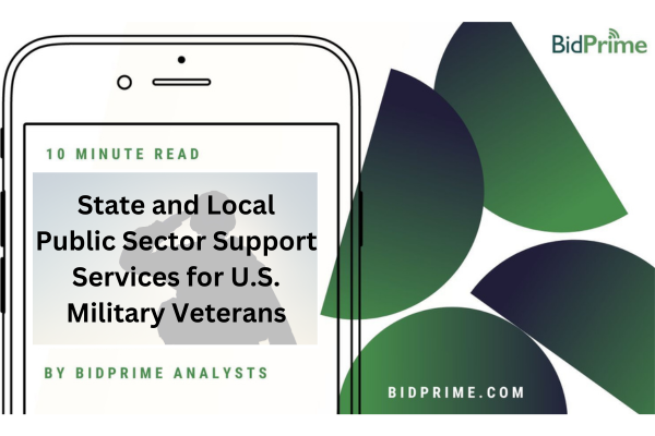 State and Local Public Sector Support Services for U.S. Military Veterans