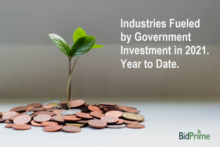 Industries Fueled by Government Investment in 2021. Year to Date.