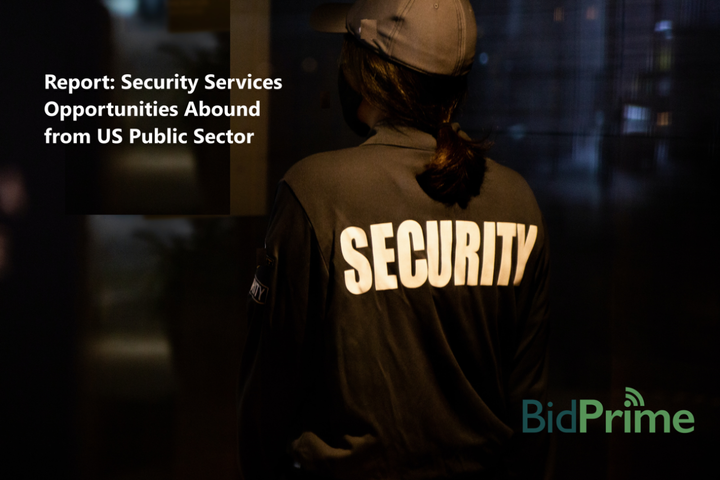 Security Services Opportunities Abound from US Public Sector